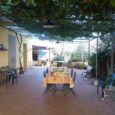 הוילה מונטלופו פיורנטינו Agriturismo Il Cavallone מראה חיצוני תמונה